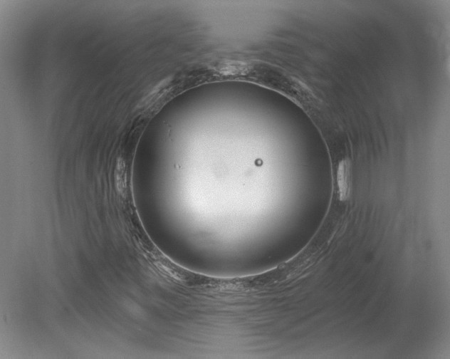 X0000078271443200611101055