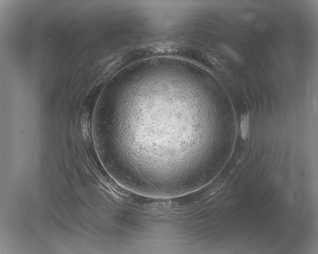 X0000078271444200611101055