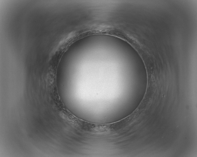 X0000078271447200611101055