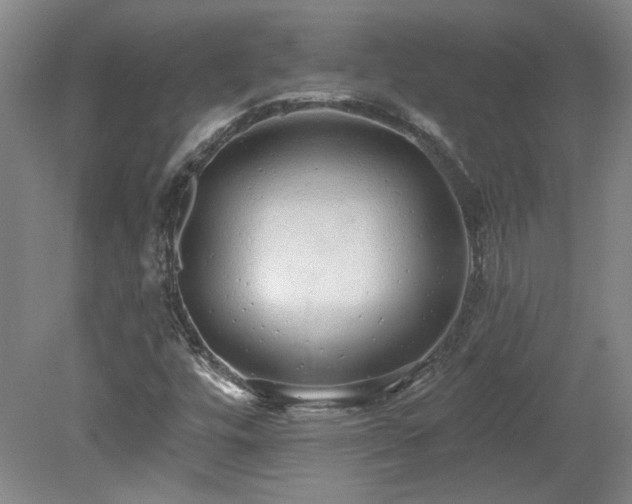 X0000078271448200611101055
