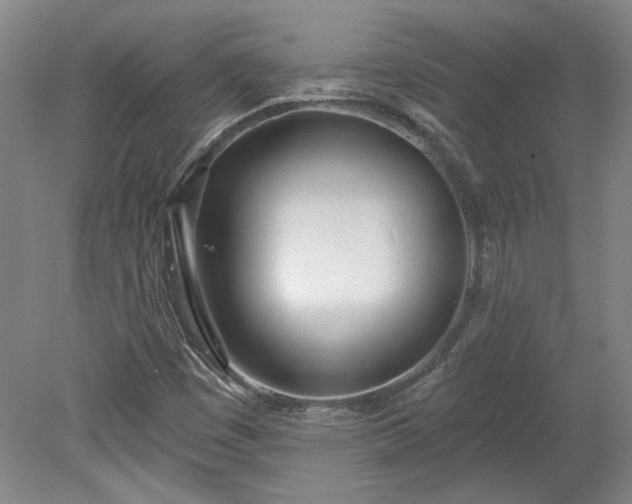 X0000078271449200611101055