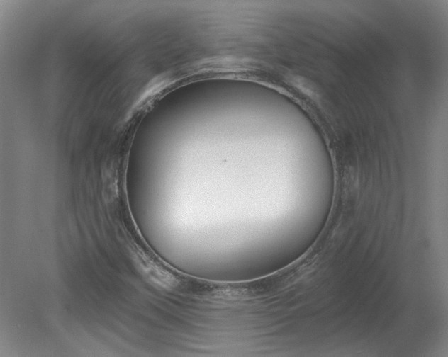 X0000078271451200611101055
