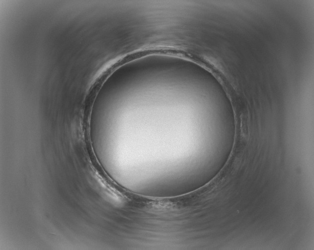 X0000078271452200611101055