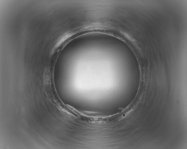 X0000078271453200611101055