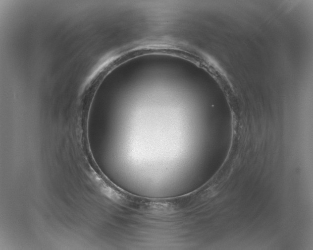 X0000078271456200611101055