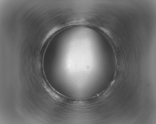 X0000078271458200611101055