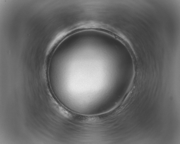X0000078271464200611101055