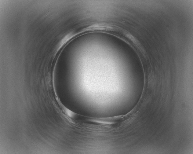 X0000078271465200611101055