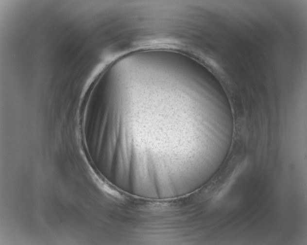 X0000078271470200611101055