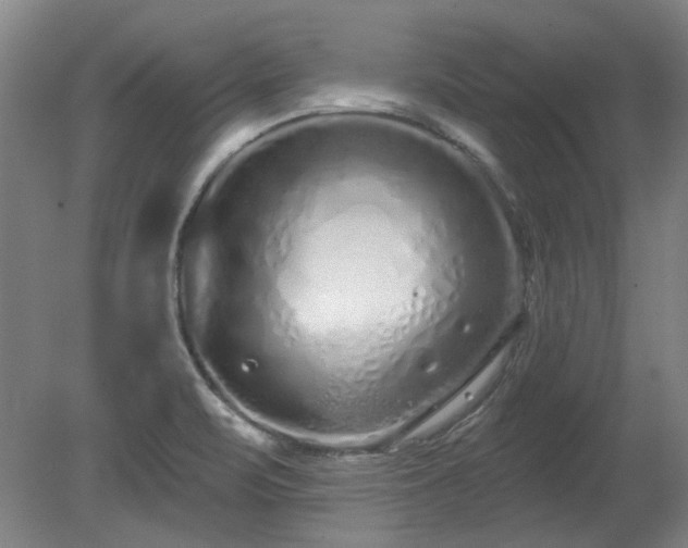 X0000078271471200611101055