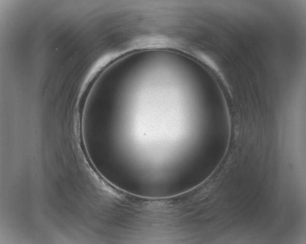 X0000078271472200611101055