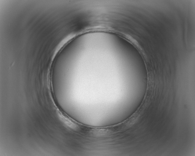 X0000078271474200611101055