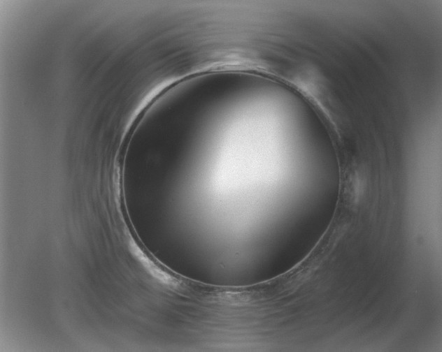 X0000078271476200611101055