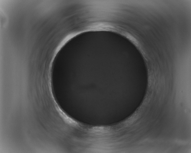 X0000078271478200611101055