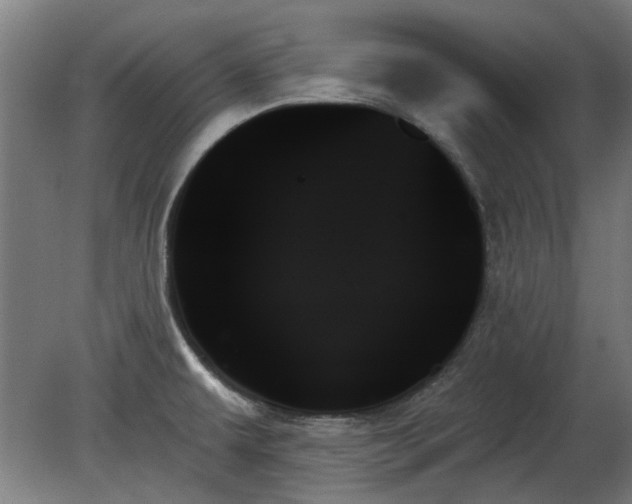 X0000078271479200611101055