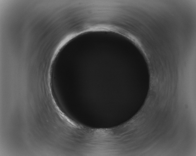 X0000078271480200611101055