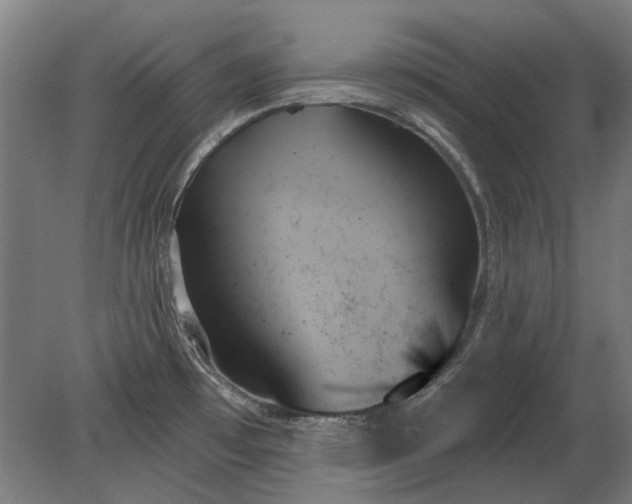X0000078271481200611101055