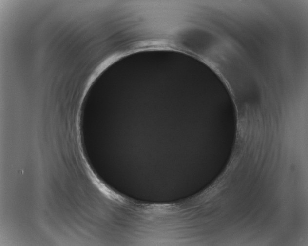 X0000078271482200611101055