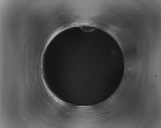 X0000078271483200611101055
