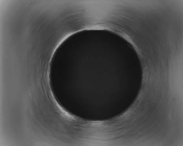 X0000078271484200611101055