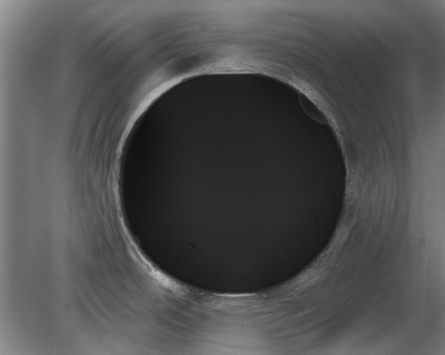 X0000078271486200611101055