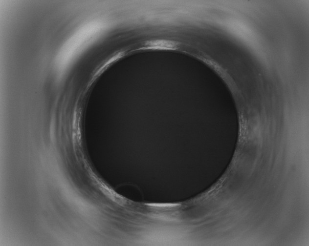 X0000078271487200611101054