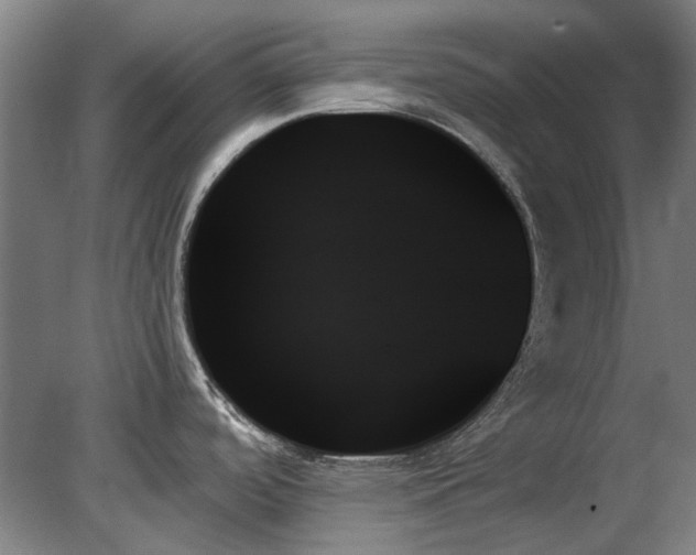 X0000078271488200611101054