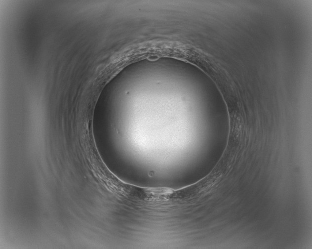 X0000078271489200611101054