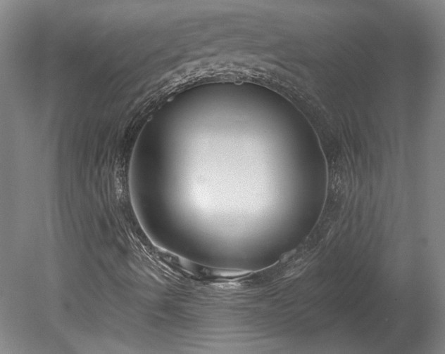 X0000078271490200611101054