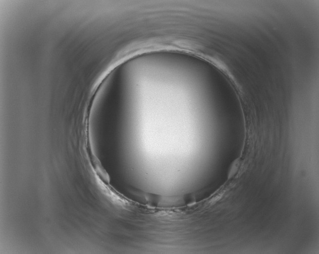 X0000078271524200611101054