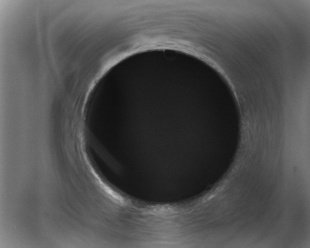 X0000078271525200611101054