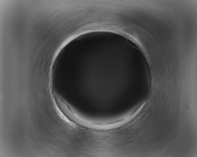 X0000078271528200611101054