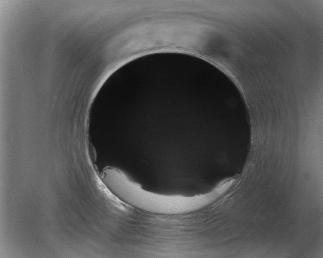 X0000078271532200611101054