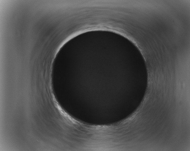X0000078271534200611101054