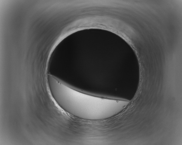 X0000078271536200611101054