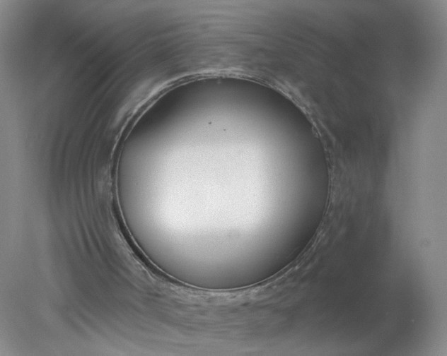 X0000078270002200611172042