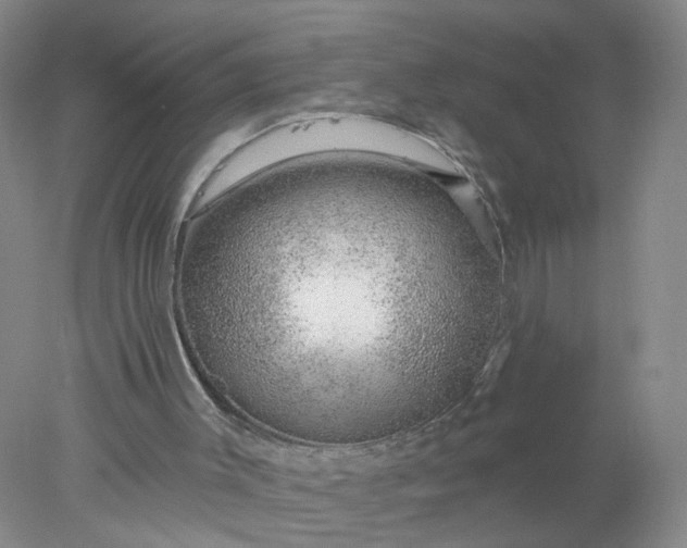 X0000078270003200611172042