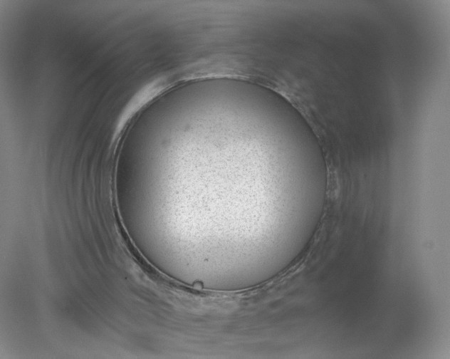 X0000078270004200611172042