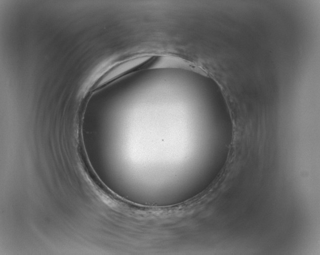 X0000078270005200611172042