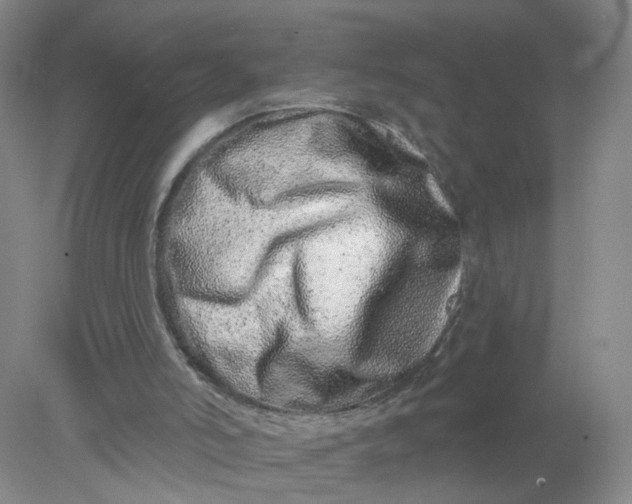 X0000078270006200611172042