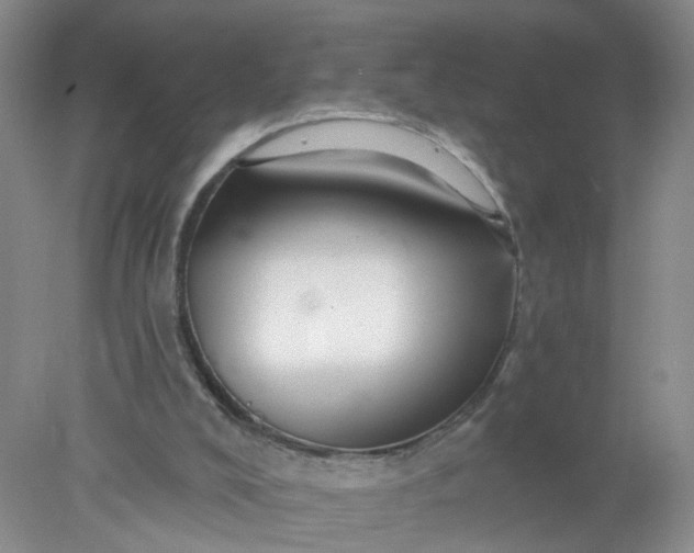 X0000078270008200611172042