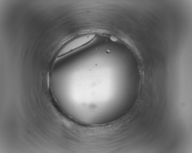 X0000078270013200611172042