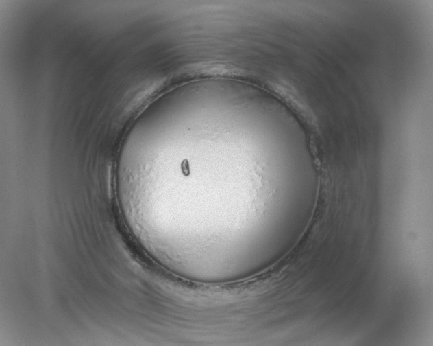 X0000078270014200611172042