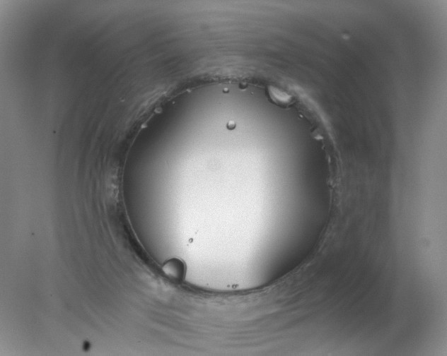 X0000078270017200611172042