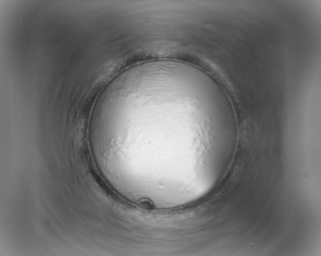 X0000078270018200611172042