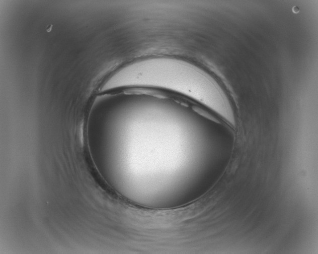 X0000078270019200611172042