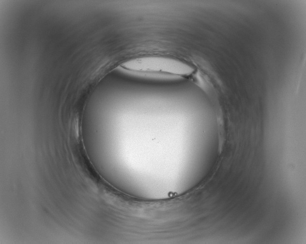 X0000078270021200611172042