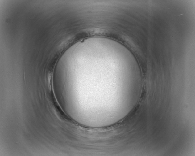 X0000078270022200611172042