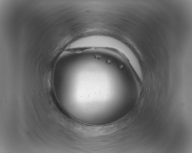 X0000078270023200611172042