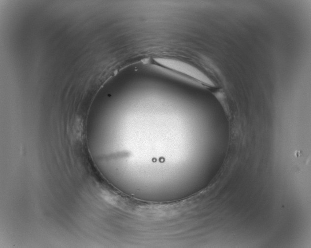 X0000078270025200611172042